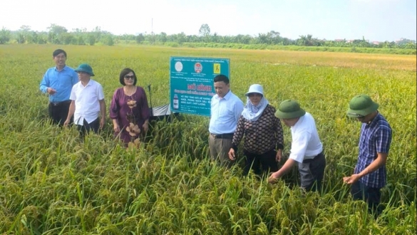 Cuộc “đổi mới” lần thứ 2: Làn gió mới để doanh nghiệp nhỏ bay cao