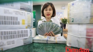 Áp lực tỷ giá USD/VND trong tuần công bố thuế quan