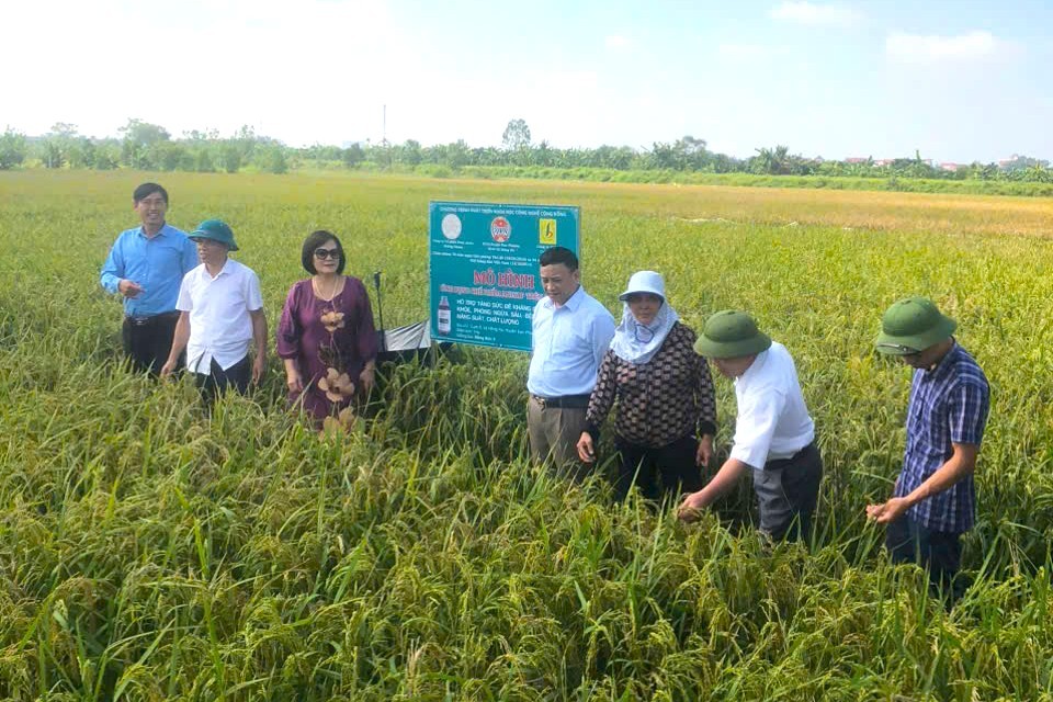 Cuộc “đổi mới” lần thứ 2: Làn gió mới để doanh nghiệp nhỏ bay cao Cuộc “đổi mới” lần thứ 2: Làn gió mới để doanh nghiệp nhỏ bay cao