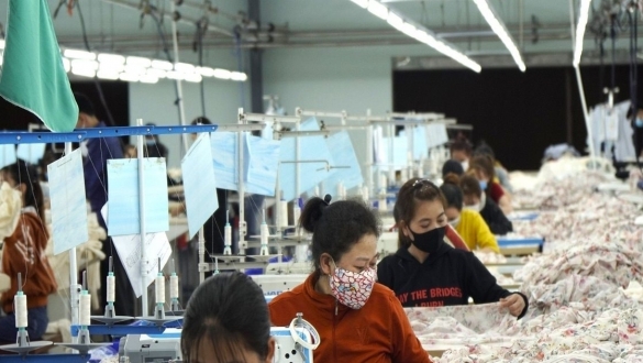 174.000 doanh nghiệp gia nhập thị trường, tín hiệu phục hồi rõ nét