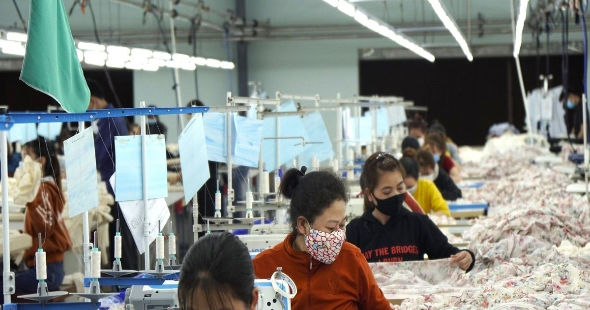 174.000 doanh nghiệp gia nhập thị trường, tín hiệu phục hồi rõ nét 174.000 doanh nghiệp gia nhập thị trường, tín hiệu phục hồi rõ nét