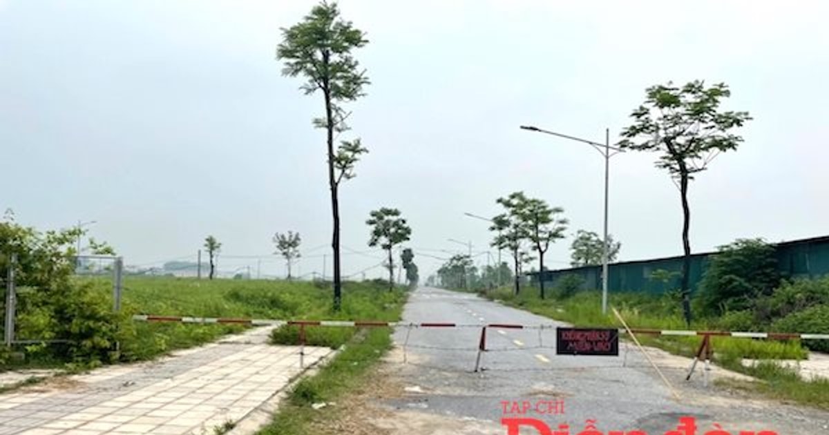 Minh bạch dữ liệu để phát huy hiệu quả định giá đất Minh bạch dữ liệu để phát huy hiệu quả định giá đất