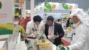 Giải pháp đột phá tiếp cận thị trường mới: Tầm nhìn chiến lược