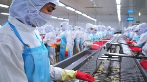 Cuộc “tập dượt” của thủy sản