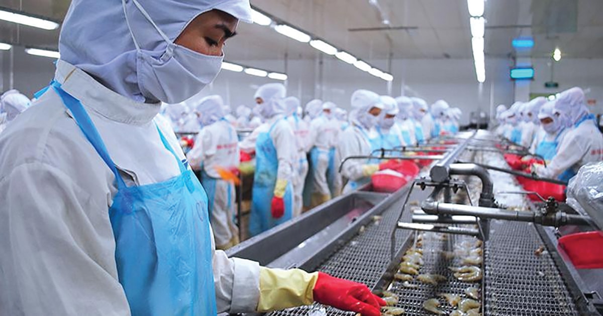 Cuộc “tập dượt” của thủy sản Cuộc “tập dượt” của thủy sản