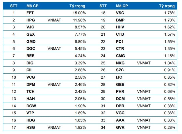 Dự báo cổ phiếu vào danh mục 2 bộ chỉ số đầu tư VN50 Growth và VNMITECH Dự báo cổ phiếu vào danh mục 2 bộ chỉ số đầu tư VN50 Growth và VNMITECH