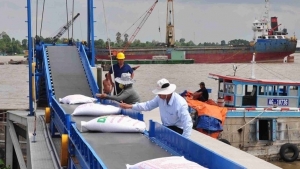 Gạo Việt Nam: Từ “xuất khẩu nhiều” đến “xuất khẩu có giá trị”