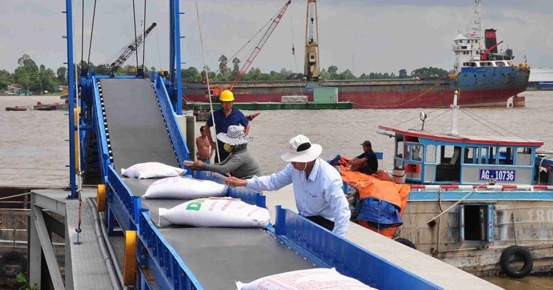 Gạo Việt Nam: Từ “xuất khẩu nhiều” đến “xuất khẩu có giá trị” Gạo Việt Nam: Từ “xuất khẩu nhiều” đến “xuất khẩu có giá trị”