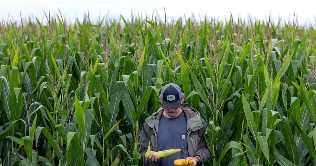 Tăng nhập khẩu nông sản Mỹ sẽ tái định hình thương mại châu Á Tăng nhập khẩu nông sản Mỹ sẽ tái định hình thương mại châu Á