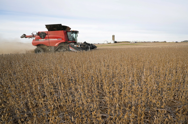 Tăng nhập khẩu nông sản Mỹ sẽ tái định hình thương mại châu Á Tăng nhập khẩu nông sản Mỹ sẽ tái định hình thương mại châu Á