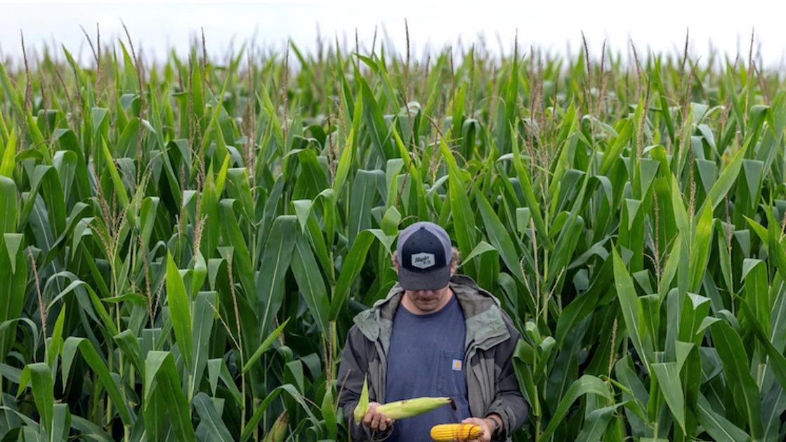 Tăng nhập khẩu nông sản Mỹ sẽ tái định hình thương mại châu Á