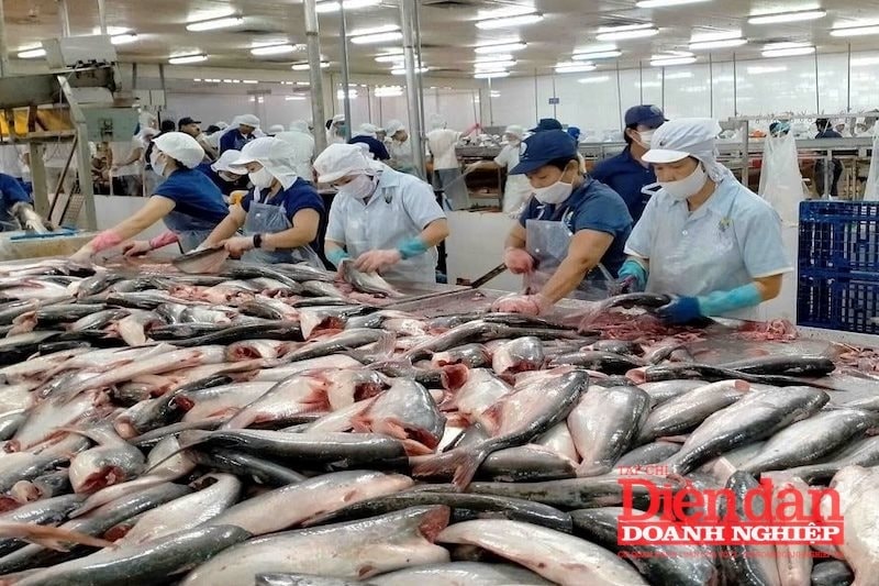 Thủy sản Việt Nam lao đao trước lệnh cấm nhập khẩu từ Mỹ Thủy sản Việt Nam lao đao trước lệnh cấm nhập khẩu từ Mỹ