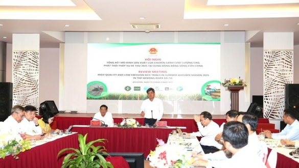 Thay đổi tư duy, nâng cao giá trị hạt gạo Việt