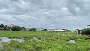 Chỉ thu tiền sử dụng đất bổ sung với trường hợp có lỗi