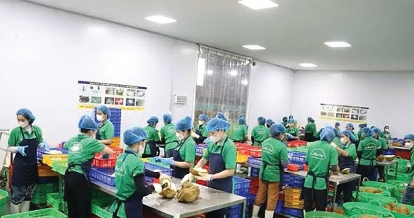 Rộng đường cho nông sản Việt Nam vào Italia
