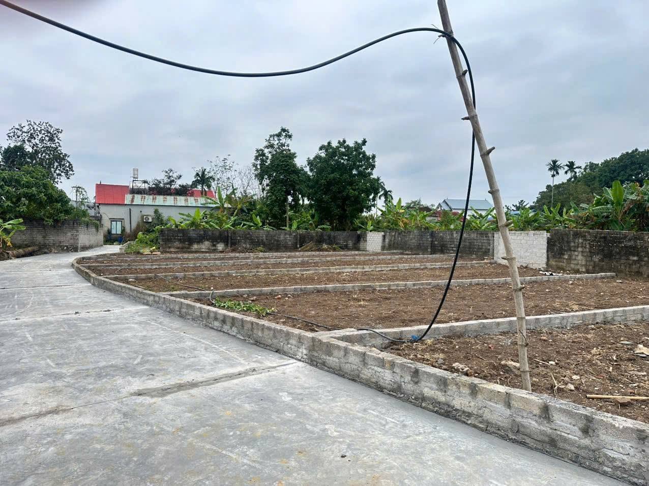 Đất nền lao dốc, nhà đầu tư mắc kẹt trong vòng xoáy cắt lỗ Đất nền lao dốc, nhà đầu tư mắc kẹt trong vòng xoáy cắt lỗ