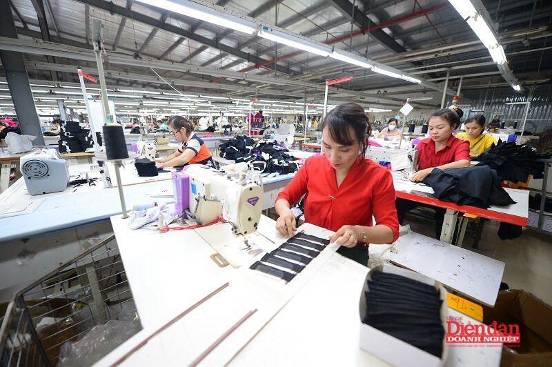 Đòn bẩy kết nối giao thương Việt Nam - UAE Đòn bẩy kết nối giao thương Việt Nam - UAE