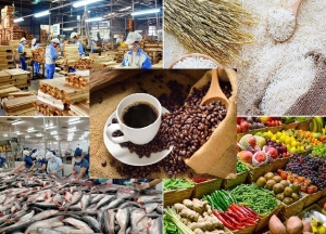 Singapore cảnh báo khai thấp giá trị hàng nhập khẩu, doanh nghiệp Việt cần lưu ý