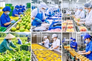 Hàng Việt vào Hoa Kỳ: Bài toán không chỉ nằm ở giá