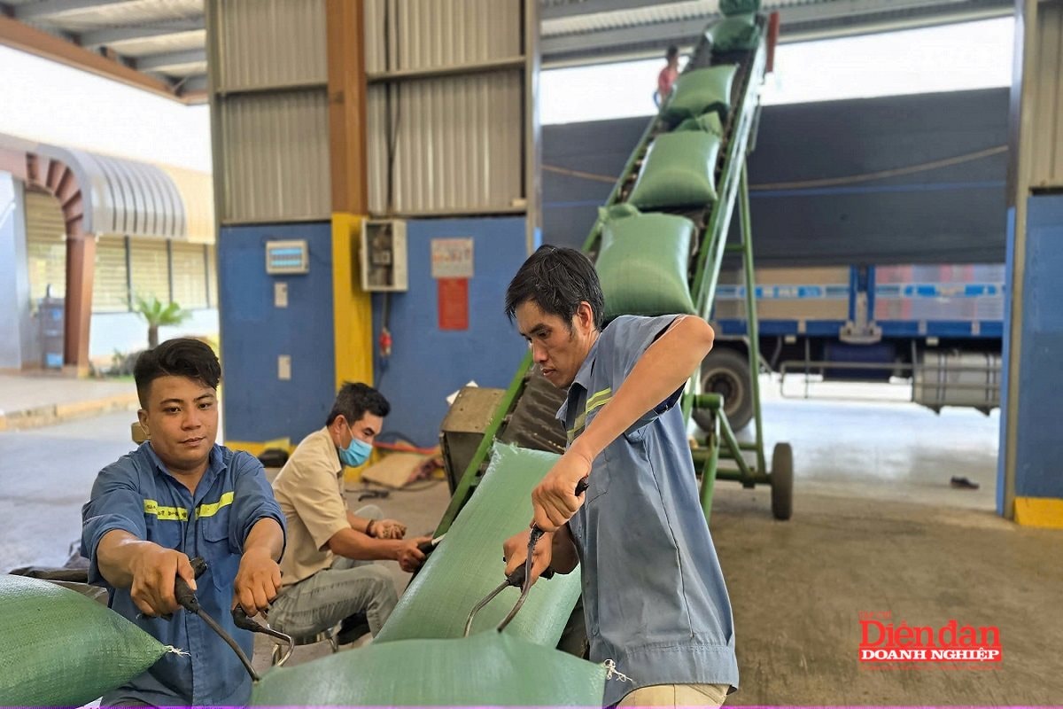 Gia Lai bàn giải pháp để có 65.000 doanh nghiệp vào năm 2030 Gia Lai bàn giải pháp để có 65.000 doanh nghiệp vào năm 2030