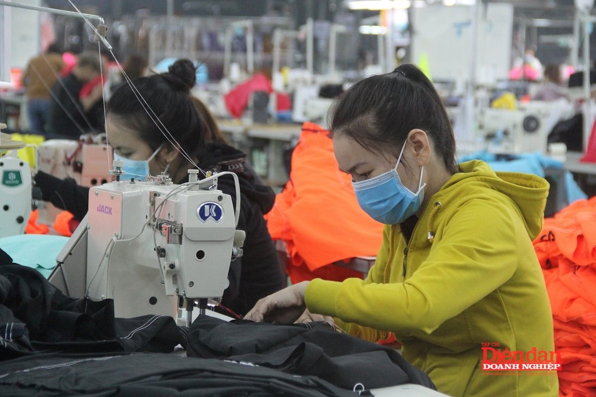 Gia Lai bàn giải pháp để có 65.000 doanh nghiệp vào năm 2030 Gia Lai bàn giải pháp để có 65.000 doanh nghiệp vào năm 2030