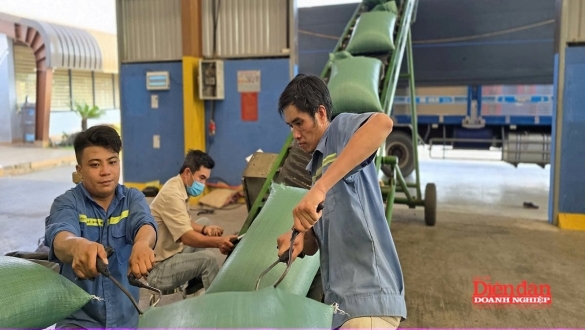 Gia Lai bàn giải pháp để có 65.000 doanh nghiệp vào năm 2030