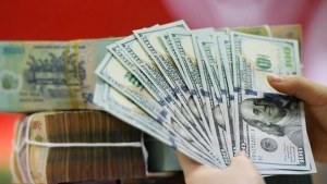 Tỷ giá ảnh hưởng tới biên lợi nhuận các nhóm ngành ra sao?