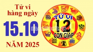 Tử vi hôm nay, xem tử vi 12 con giáp hôm nay ngày 15/10/2025: Tuổi Dậu thu nhập ổn định