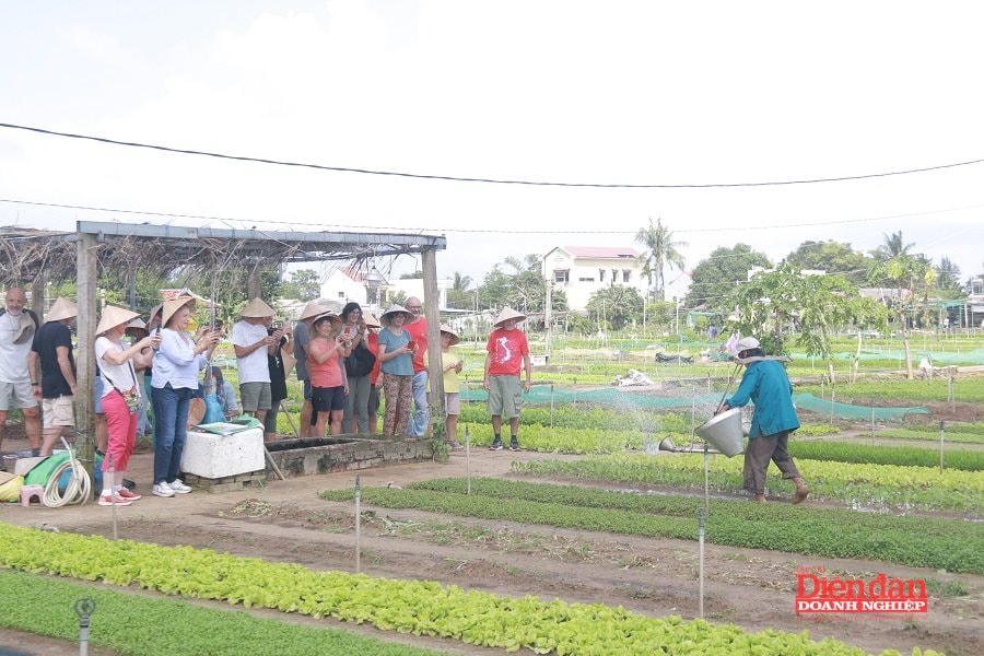 Cách nào để Đà Nẵng trở thành Trung tâm du lịch của Đông Nam Á?