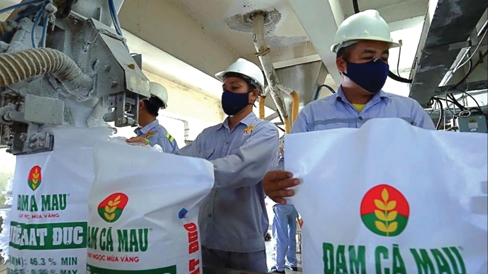 DCM hóa giải thách thức