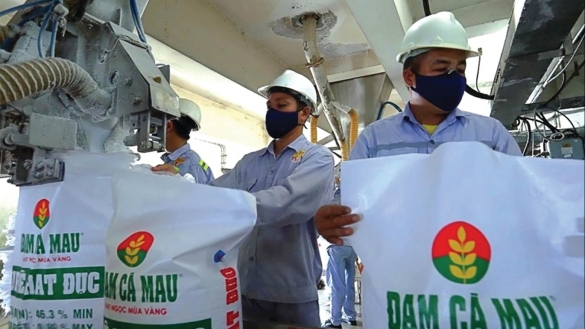 DCM hóa giải thách thức