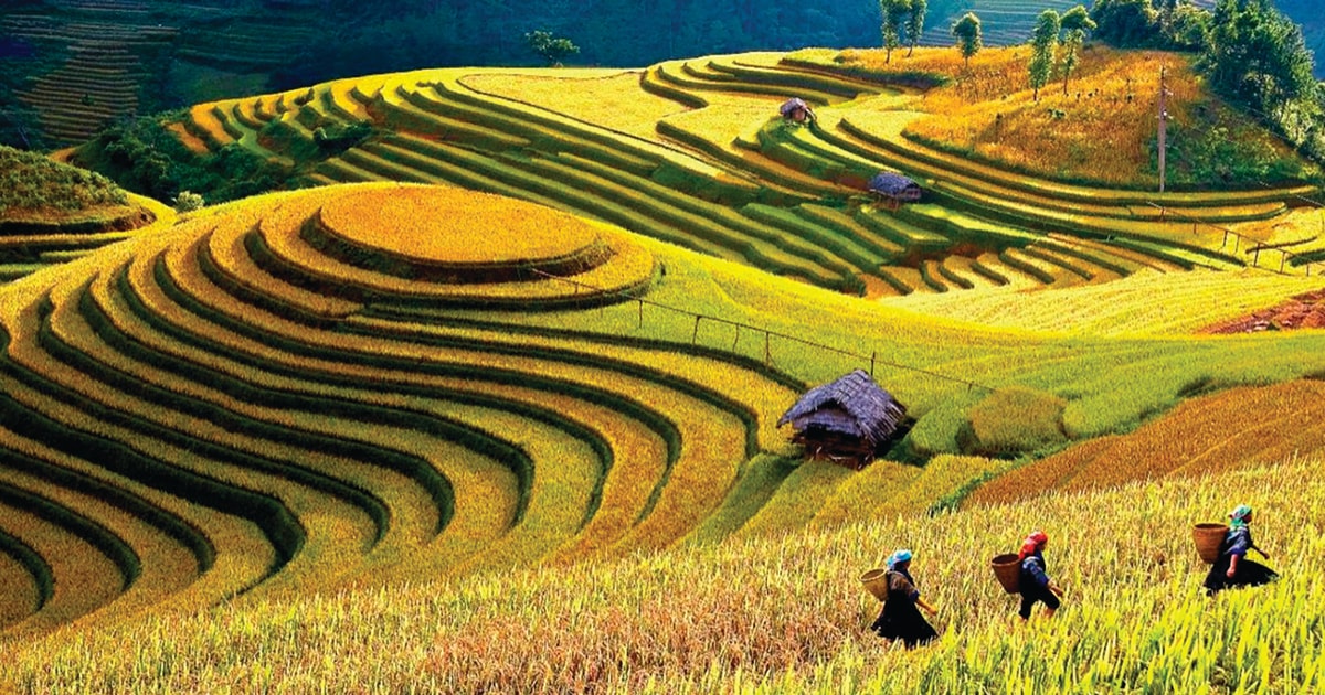 Xúc tiến quảng bá du lịch Lào Cai: Khi công nghệ số song hành cùng hợp tác Xúc tiến quảng bá du lịch Lào Cai: Khi công nghệ số song hành cùng hợp tác