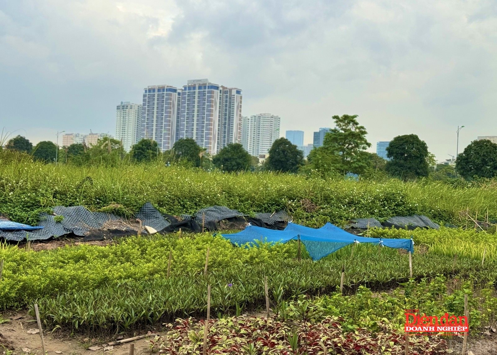 Đề xuất gắn mã định danh cho từng dự án bất động sản Đề xuất gắn mã định danh cho từng dự án bất động sản