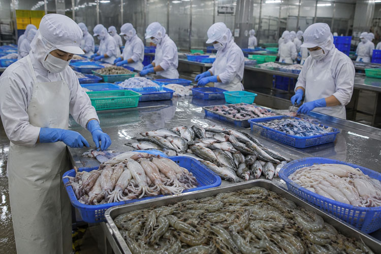 Kiến nghị tháo gỡ loạt vướng mắc về thuế cho doanh nghiệp thủy sản Kiến nghị tháo gỡ loạt vướng mắc về thuế cho doanh nghiệp thủy sản