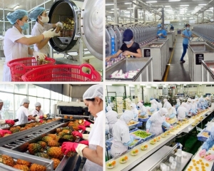 Thích ứng nhanh để tăng trưởng công nghiệp bền vững