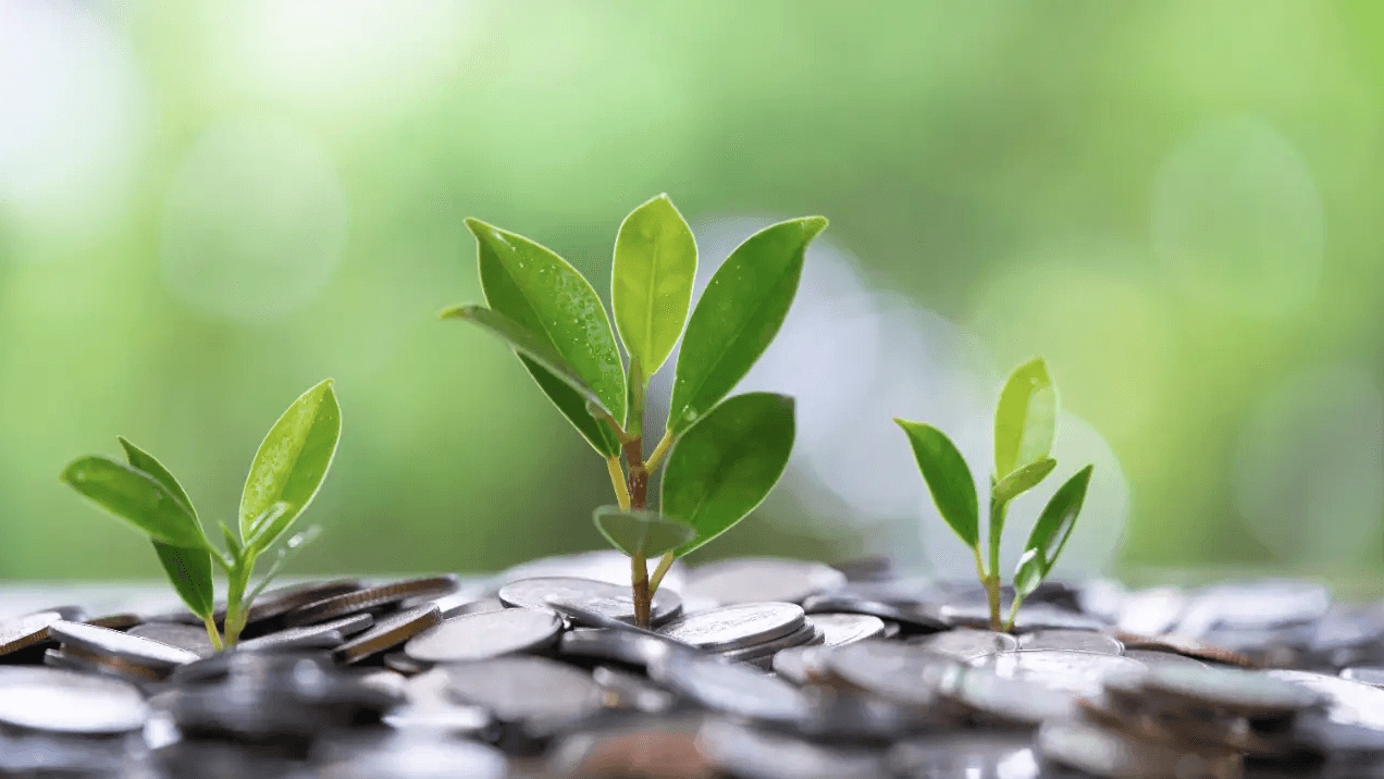 Loạt doanh nghiệp chốt quyền chia cổ tức tuần đầu tháng 11, tỷ lệ cao nhất lên tới 250%