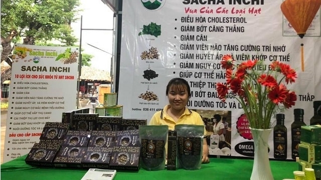 Nông nghiệp Việt tìm đường phát triển thực chất