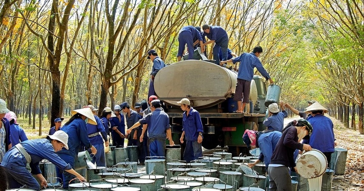 Dư địa tăng trưởng của nhóm cổ phiếu bất động sản khu công nghiệp Dư địa tăng trưởng của nhóm cổ phiếu bất động sản khu công nghiệp