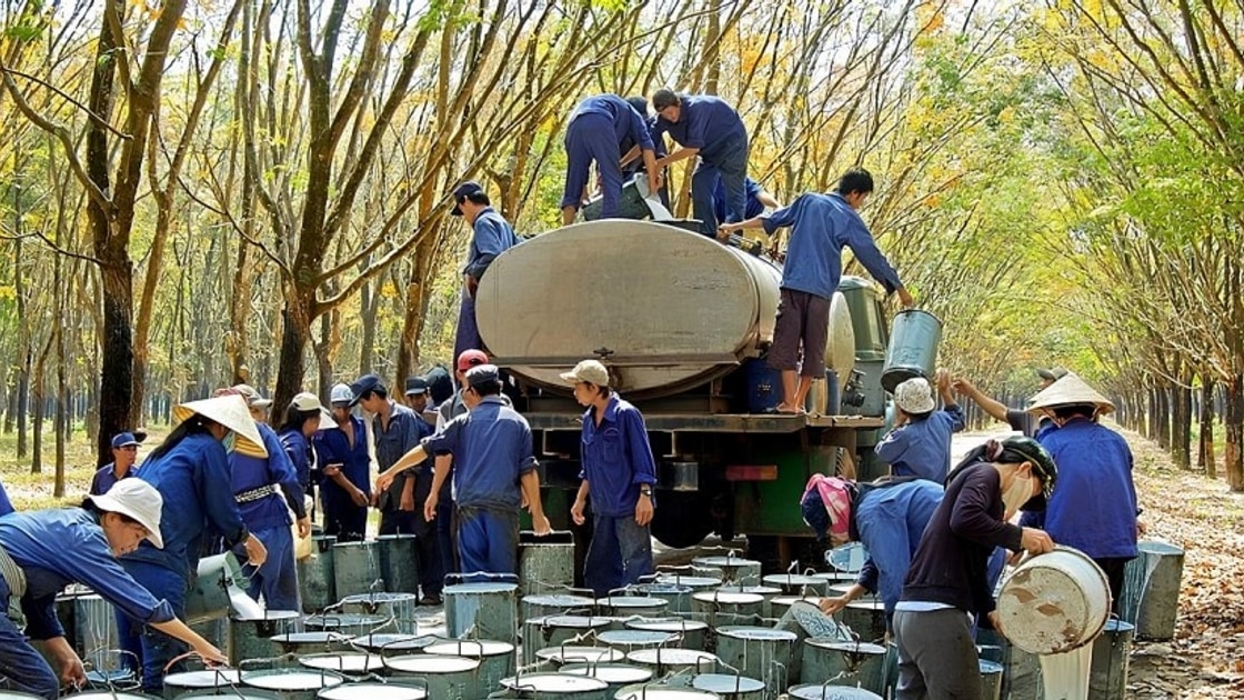 Dư địa tăng trưởng của nhóm cổ phiếu bất động sản khu công nghiệp