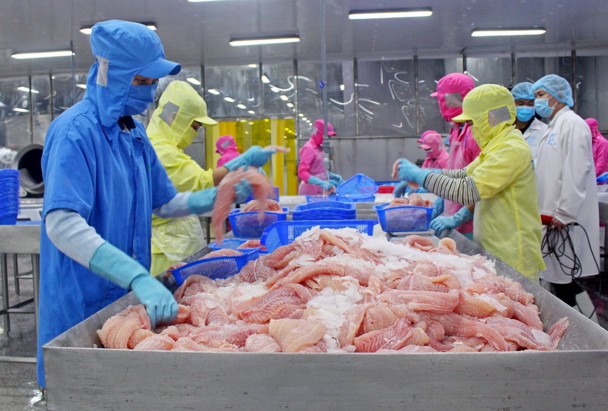 Thương mại Việt Nam và thành viên CPTPP tăng 20,6% Thương mại Việt Nam và thành viên CPTPP tăng 20,6%