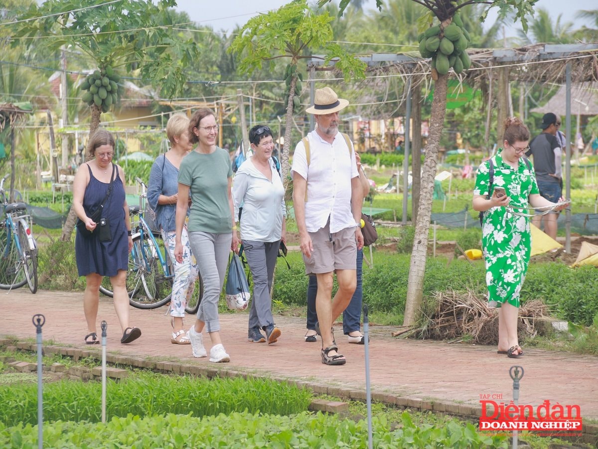 Quảng Nam kêu gọi đầu tư cho du lịch trong năm tới Quảng Nam kêu gọi đầu tư cho du lịch trong năm tới