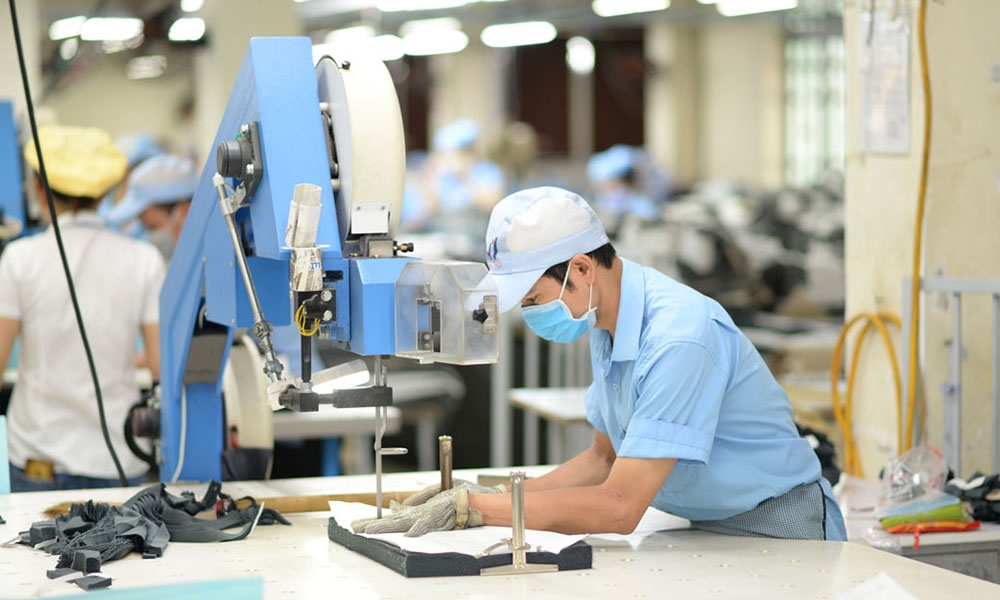 Ngành dệt may tìm thấy nhiều