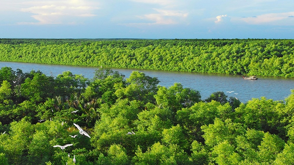 Nhà đầu tư e ngại rót vốn cho tín chỉ carbon xanh dương