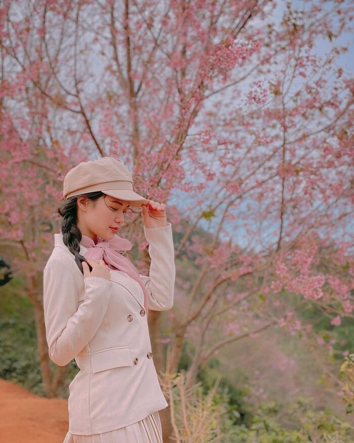 Đầu năm ‘mở bát’ hành trình du lịch với các địa điểm ngắm mai anh đào đẹp ở Đà Lạt