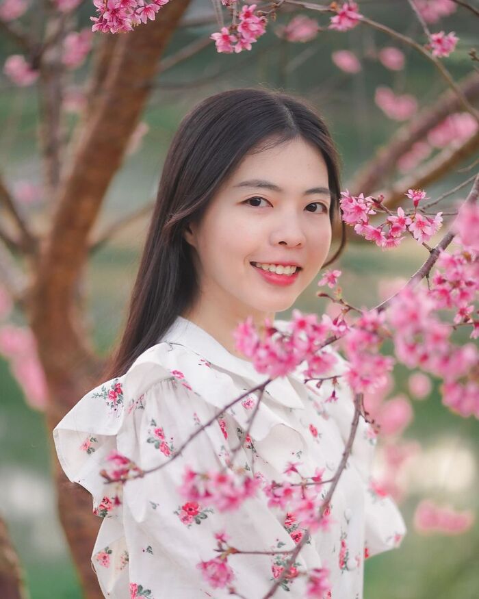 Đầu năm ‘mở bát’ hành trình du lịch với các địa điểm ngắm mai anh đào đẹp ở Đà Lạt