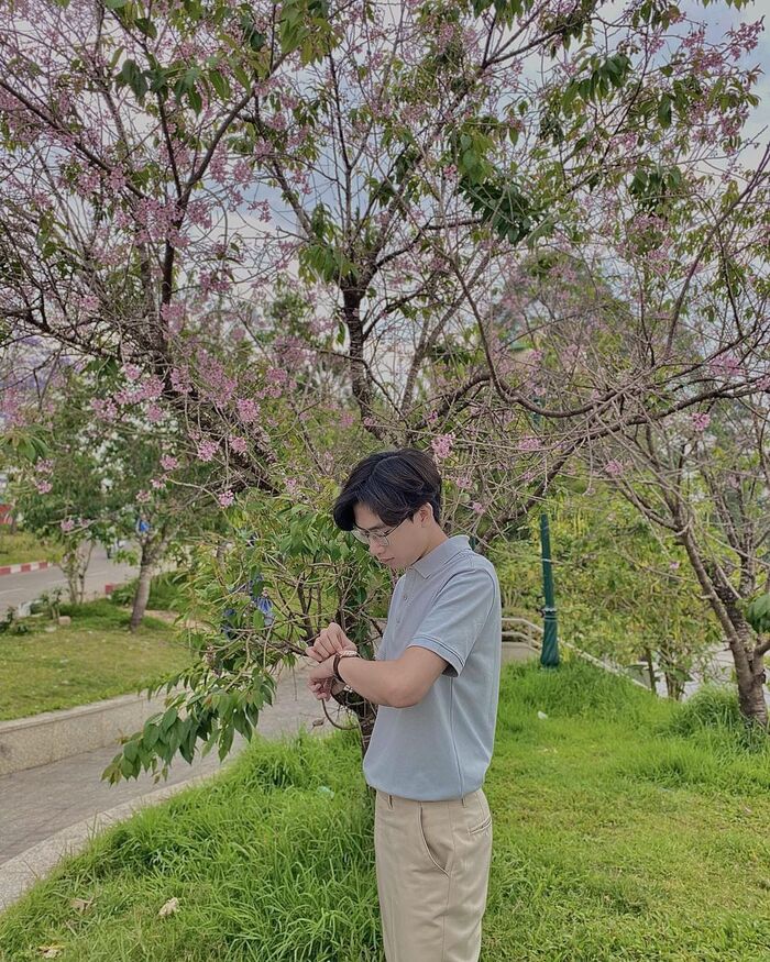 Đầu năm ‘mở bát’ hành trình du lịch với các địa điểm ngắm mai anh đào đẹp ở Đà Lạt