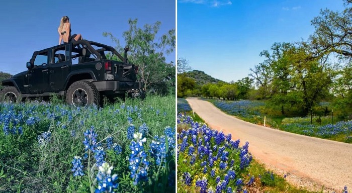 điểm đến mùa xuân điểm đến mùa xuân