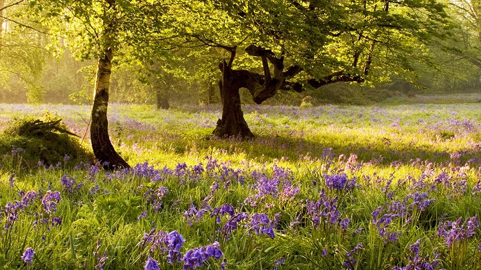 điểm đến mùa xuân điểm đến mùa xuân