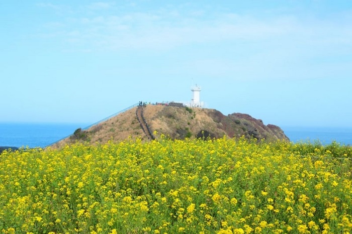 điểm đến mùa xuân điểm đến mùa xuân