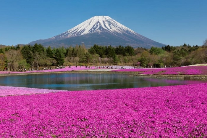 điểm đến mùa xuân điểm đến mùa xuân